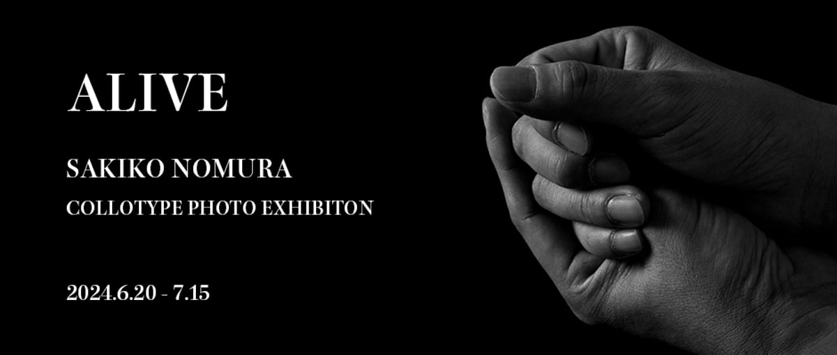 雁　野村佐紀子　Sakiko Nomura　直筆サイン入り サイン入り】野村佐紀子 Sakiko Nomura: Ango【日本語版】 -の