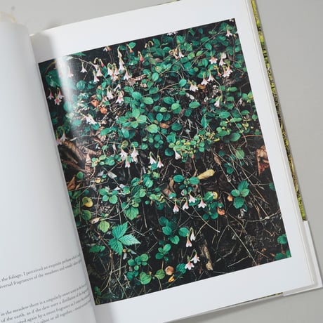 In Wildness Is the Preservation / Eliot Porter(エリオット・ポーター)