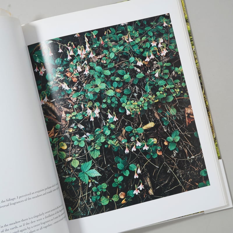 In Wildness Is the Preservation / Eliot Porter(