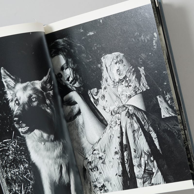 Veins / Anders Petersen,Jacob Aue Sobol(アンデルス・ペ