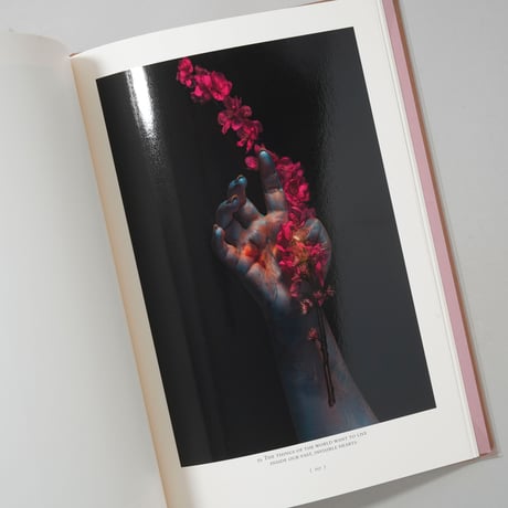 WET PAINT / Studio Prokopiou(Phillip Prokopiou, Panos Poimenidis)