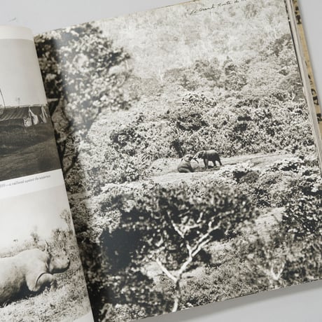 The End of the Game (TASCHEN,2008) / Peter Beard(ピーター・ビアード)