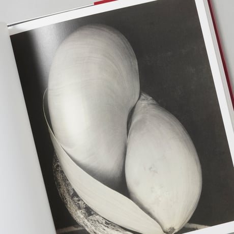 Still Life IN PHOTOGRAPHY / 著：Paul Martineau(ポール・マルティノ)、写真：William Henry Fox Talbot, Paul Strand 他