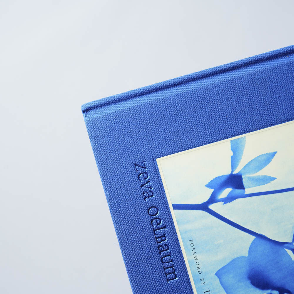 洋書 Blue Prints Zeva Oelbaum BLUE PRINTS / Zeva Oelbaum (セヴァ