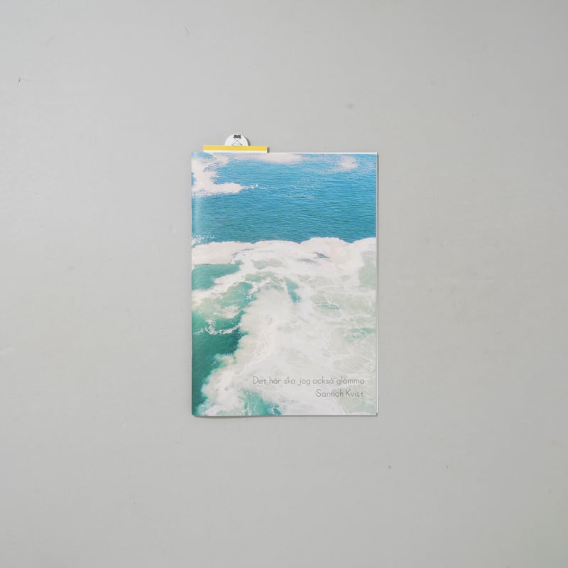 希少写真集 Photographers Sketchbooks 杉山有希子写真集 CRASH/PHASES｜青幻舎 SEIGENSHA Art