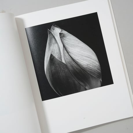 HANA / 石元泰博(Yasuhiro Ishimoto)