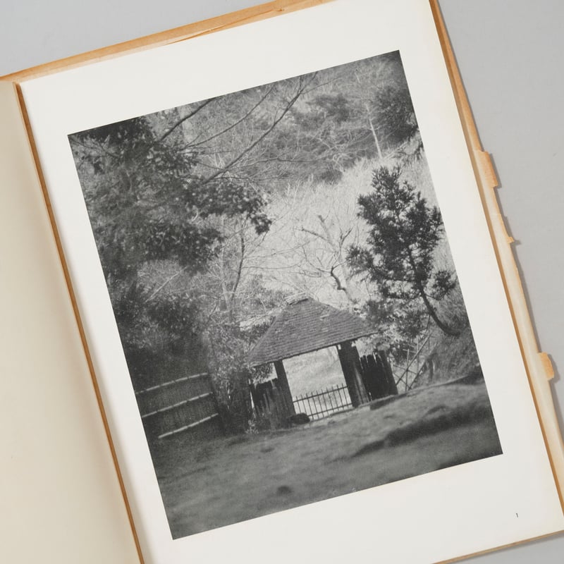 THE OLD TOWN OF MATSUE 松江風景 / 福原信三(Shinzo Fukuh