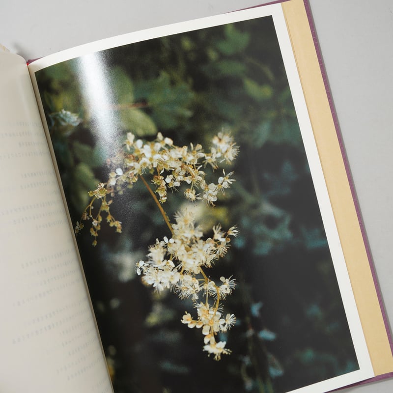SWISS / 長島有里枝(Yurie Nagashima) | bookobscura｜写真