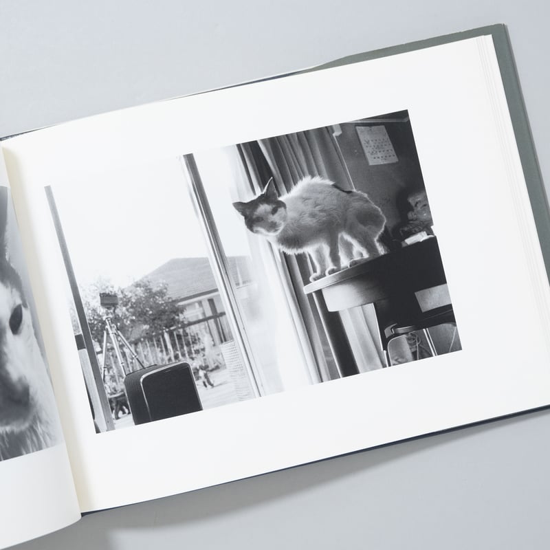 センチメンタルな旅、春の旅 / 荒木経惟(Nobuyoshi Araki) | book ob...