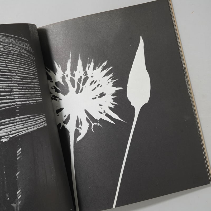 Mademoiselle 1+1 / Marcel Veronese & Jean-Claud