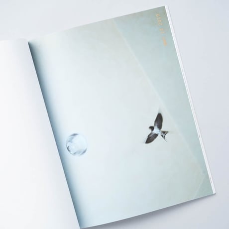 [新刊/New] TRACKS / 濱田晋 (Shin Hamada)