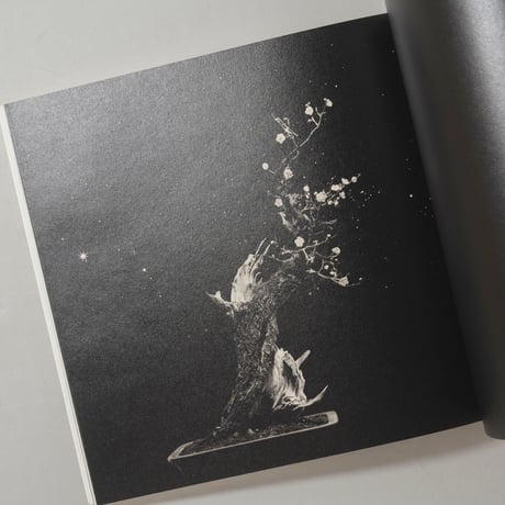 [サイン入/Signed] 手中一滴 Bonsai Microcosmos Macrocosmos / 山本昌男(Masao Yamamoto)