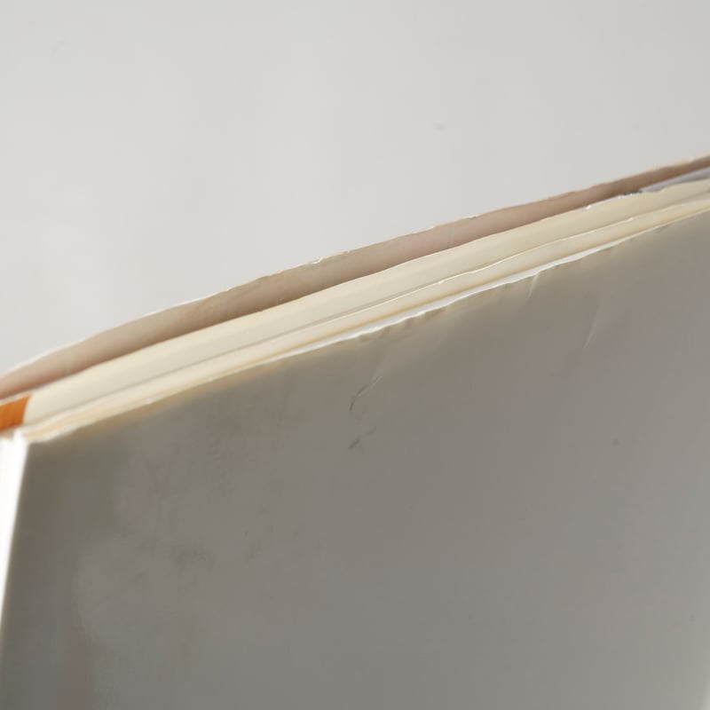 日常らしさ / 安村崇(Takashi Yasumura) | bookobscura｜写真集