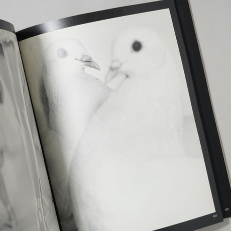 Meine 100 besten Fotos / Erwin Blumenfeld(アーウィン・ブルーメンフェルド)