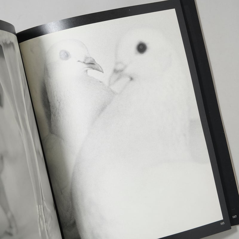 Meine 100 besten Fotos / Erwin Blumenfeld(アーウィン