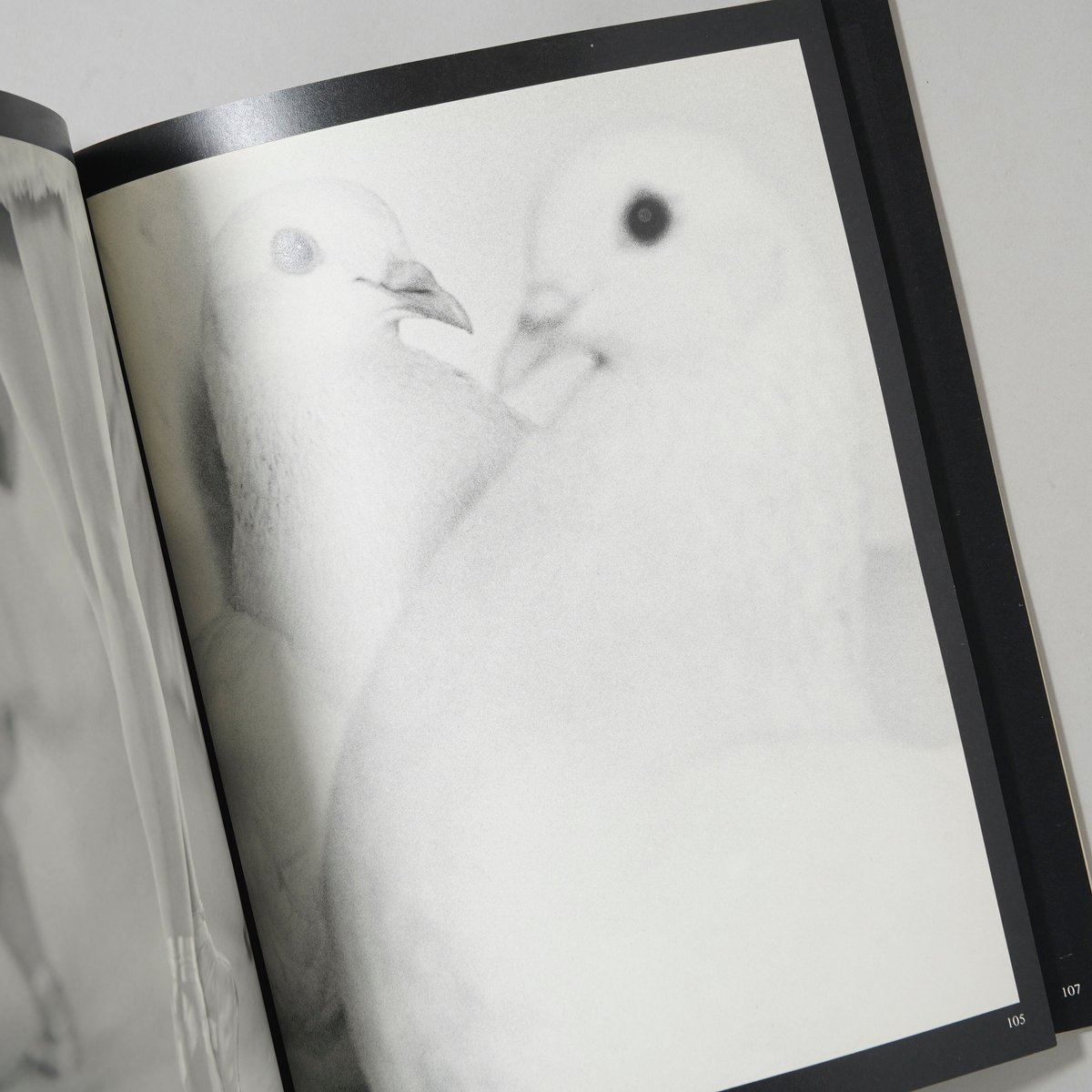 Meine 100 besten Fotos / Erwin Blumenfeld(アーウィン