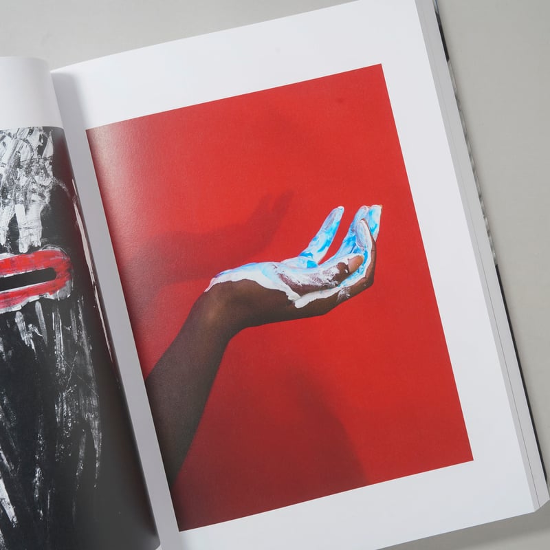 PHOSPHOR / Viviane Sassen(ヴィヴィアン・サッセン) | bookob