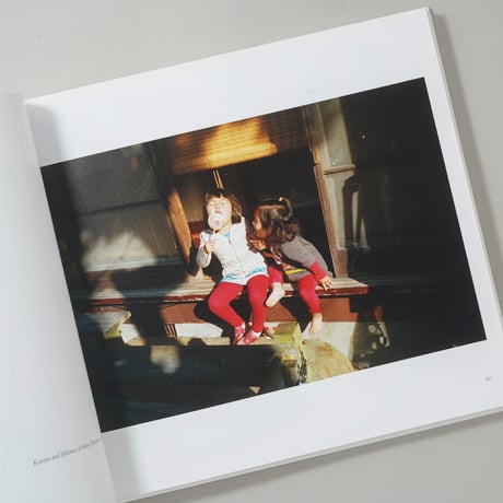 IN COLOR IN JAPAN SELECTED AND NEW WORKS / シン・ノグチ(Shin Noguchi)