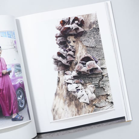 [新刊/New] TO LOOK WITHOUT FEAR / Wolfgang Tillmans(ヴォルフガング・ティルマンス)