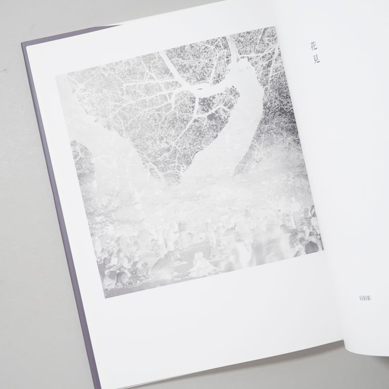 サイン入/Signed] ある写真家の花見 / 内藤忠行(Tadayuki Naitoh)