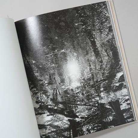 Stepping Out Into This Almost Empty Road / Monika Orpik(モニカ・オルピク)