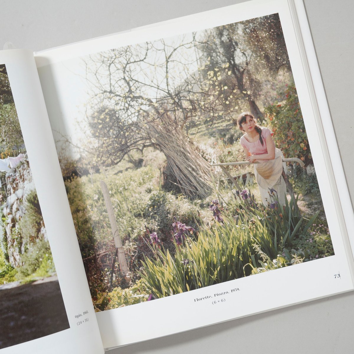 LARTIGUE LIFE IN COLOR / Jacques Henri LARTIGUE