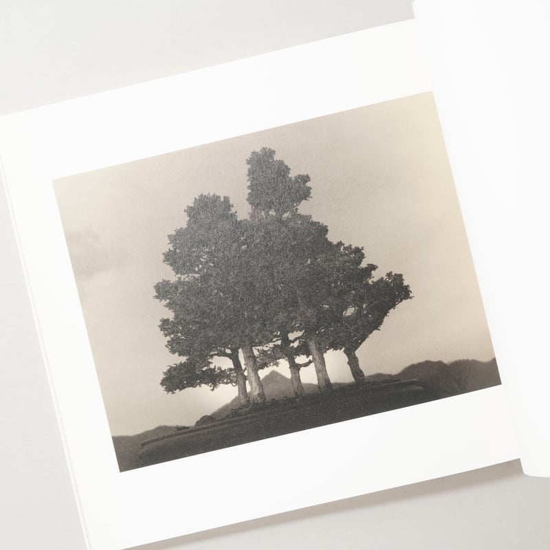 サイン入/Signed] 手中一滴 Bonsai Microcosmos Macrocosm