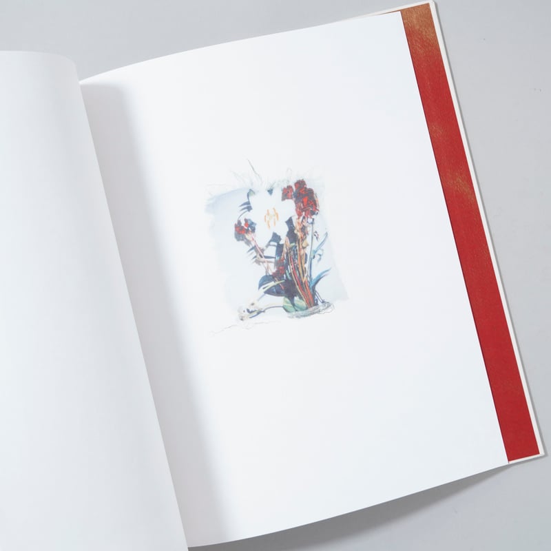 新刊/New] Swaying Flowers / Ayaka Endo(遠藤文香) | b