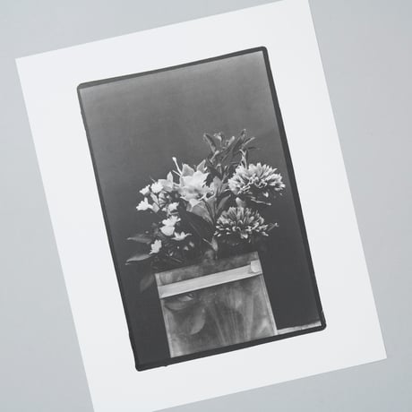 [新刊サイン入/New,Signed] ミニポートフォリオ《トロイメライ》 / 野村佐紀子(Sakiko Nomura)