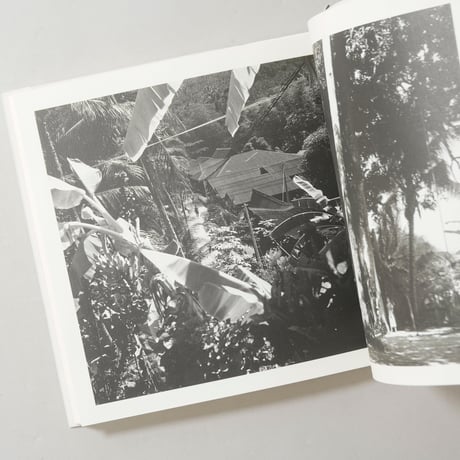 午後の最後の日射 / 渡部さとる(Satoru Watanabe)