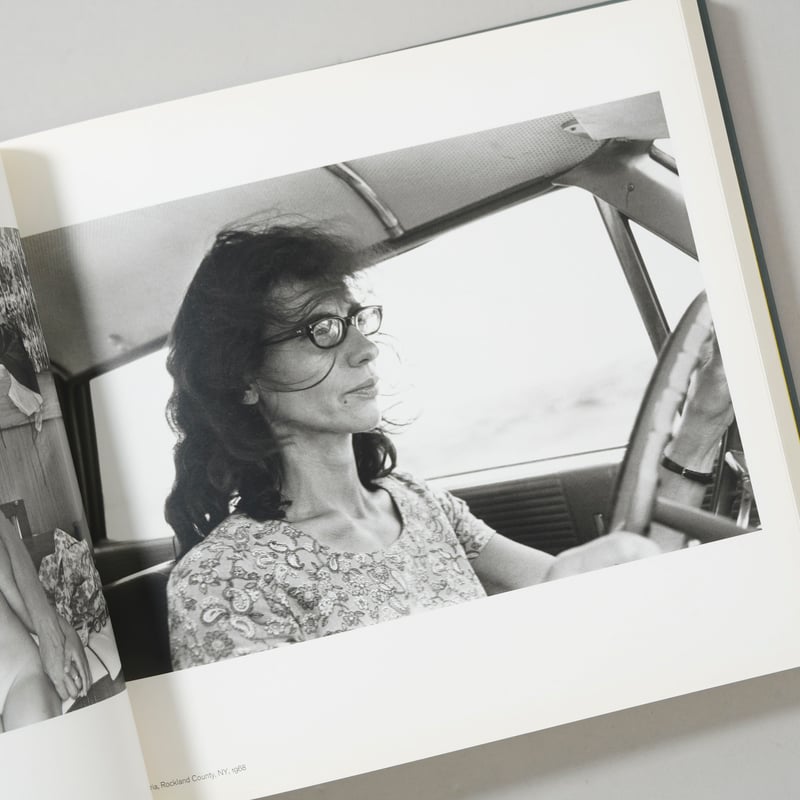 Family in the Picture 1958-2013 / Lee Friedland