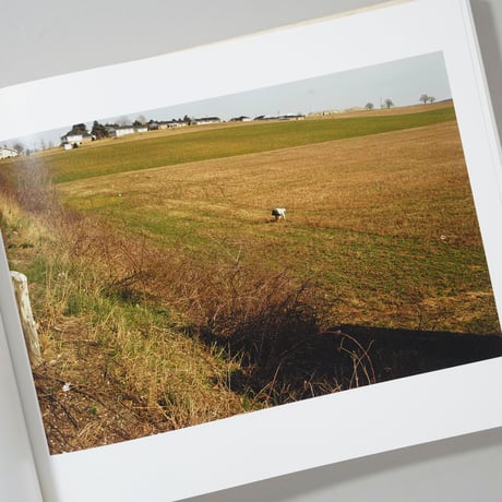 First Pictures / Joel Sternfeld (ジョエル・スタンフェルド)