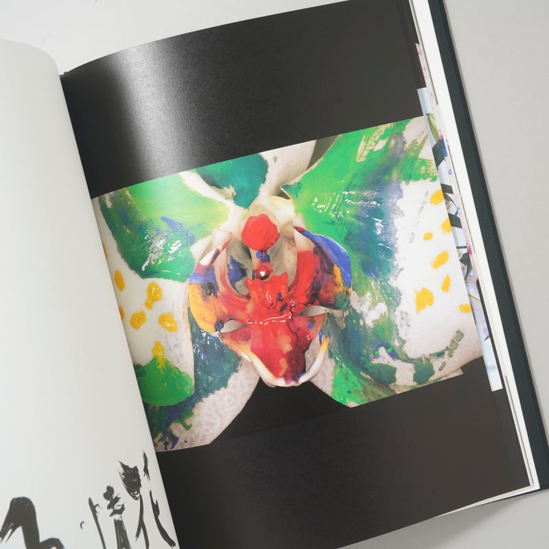 花人生 特別装丁版 / 荒木経惟(Nobuyoshi Araki) | bookobscura