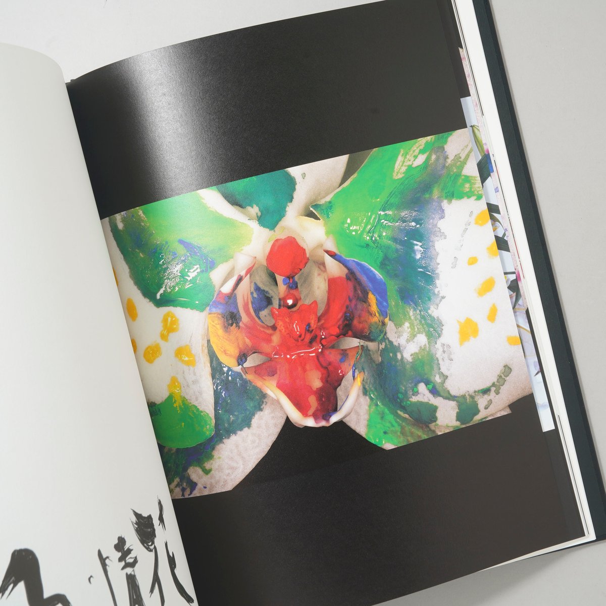 花人生 特別装丁版 / 荒木経惟(Nobuyoshi Araki) | bookobscura
