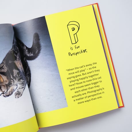 [新刊/New] ABC photography / Martin Parr, Wolfgang Tillmans, Nan Goldin, Alec Soth, Peter Lindbergh, 他