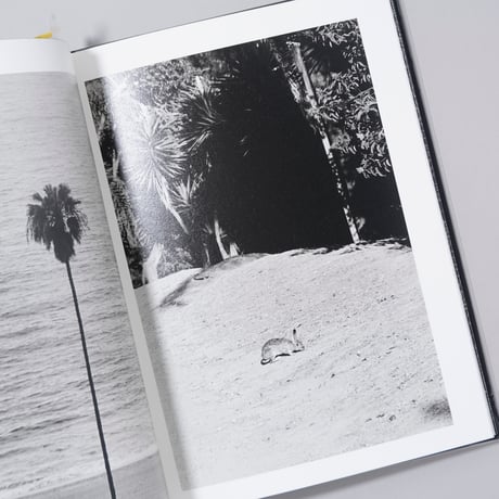 [新刊/New]LOS ANGELES X SHINJUKU / 森山大道(Daido Moriyama), Avo Tavitian(アヴォ・タヴィシアン)