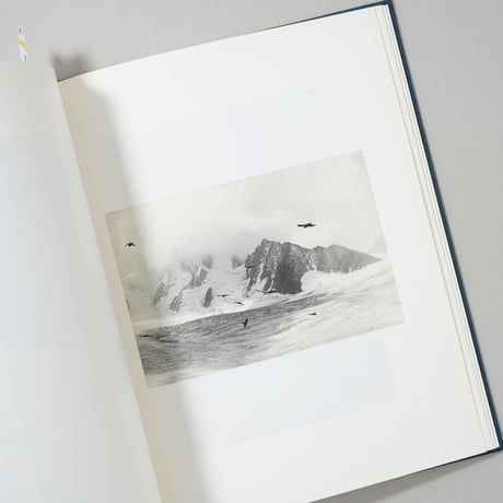 Des oiseaux / Bernard Plossu(ベルナール・プロス)