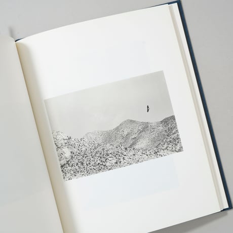 Des oiseaux / Bernard Plossu(ベルナール・プロス)
