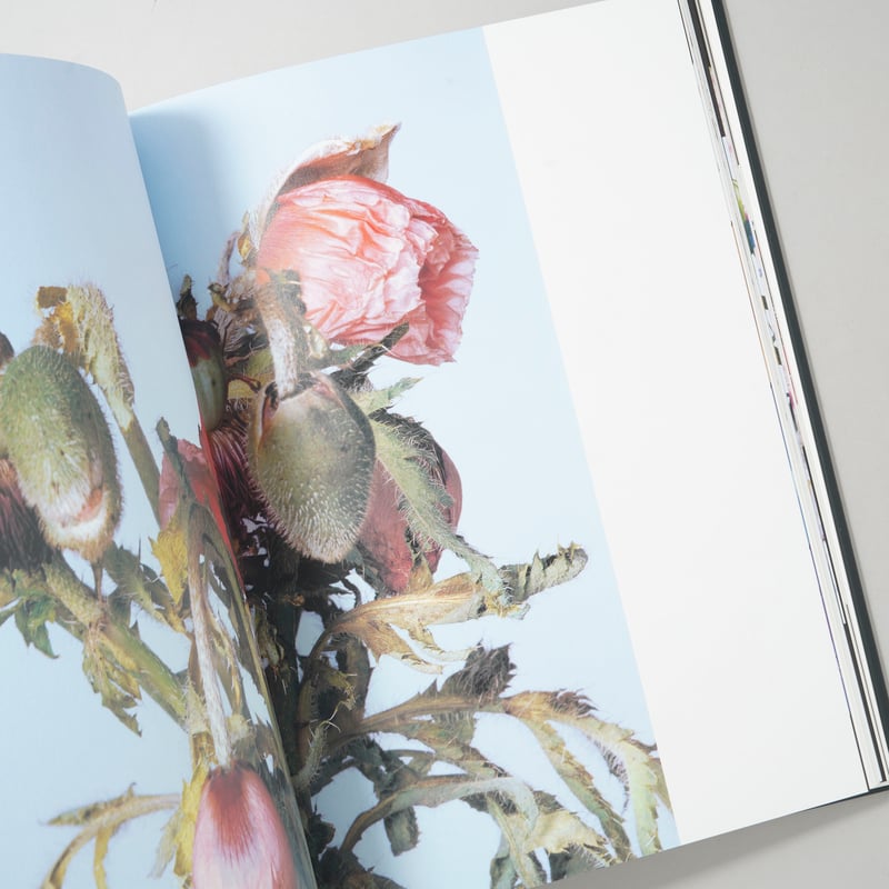 花人生 特別装丁版 / 荒木経惟(Nobuyoshi Araki) | bookobscura