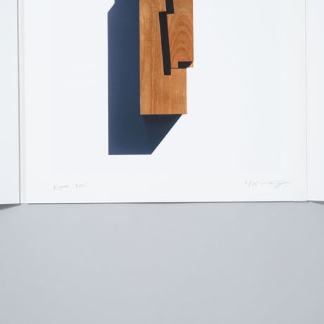 [プリント付特装版/Special Edition]『BRANCH』『KIGUMI』『Patterns in Nature』 / 濱田祐史、Philippe Fragniere