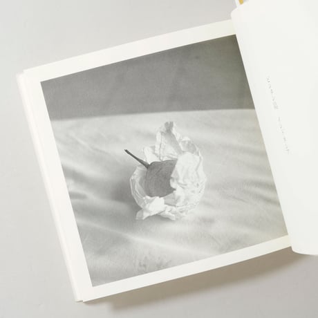 午後の最後の日射 / 渡部さとる(Satoru Watanabe)
