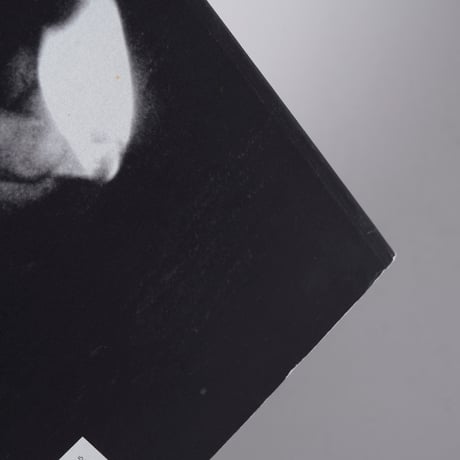 Dash Snow I Love You, Stupid! / Dash Snow(ダッシュ・スノウ)
