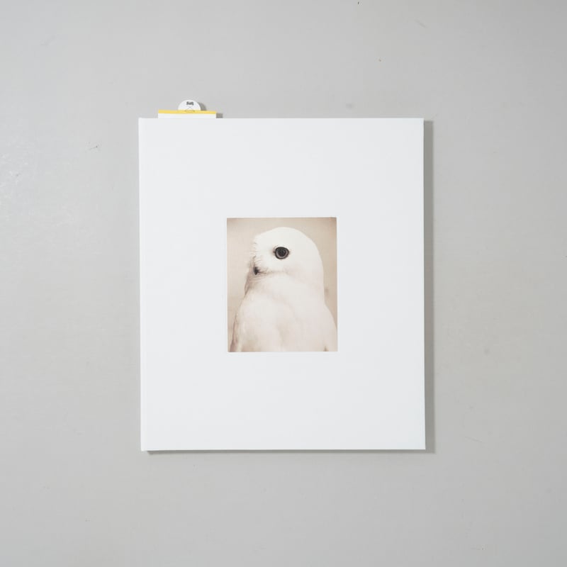 CATEGORY ー 2020s | bookobscura｜写真集専門書店｜写真家による写真