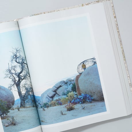 [新刊/New] GATHERED LEAVES ANNOTATED / Alec Soth(アレック・ソス)