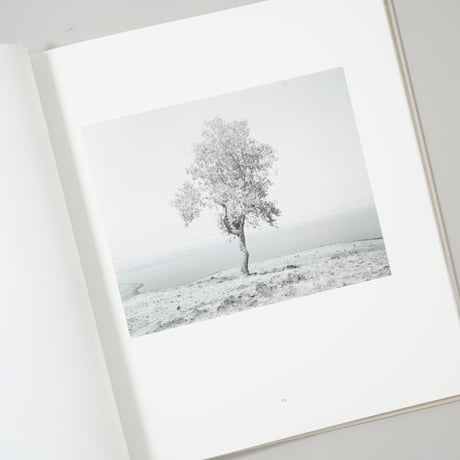 [新刊/New] THE RESERVOIR / Mimi Plumb(ミミ・プラム)
