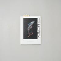 サイン入/Signed] DISTANCE 1991-1995 / 尾仲浩二(Koji On