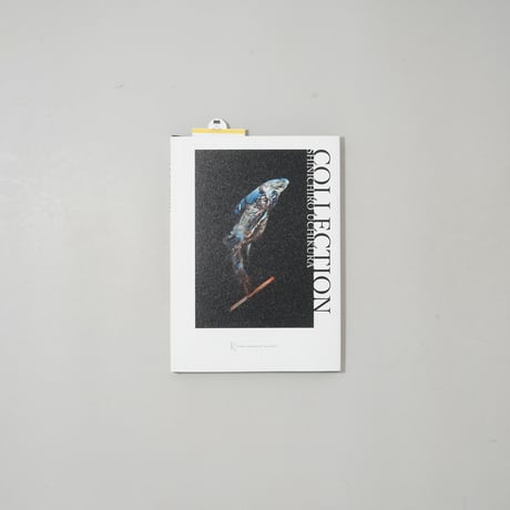 COLLECTION / 内倉真一郎(Shinichiro Uchikura)
