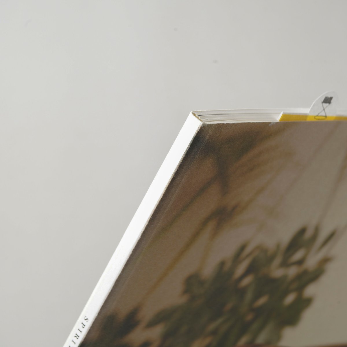 SPIRIT / Henry Roy(アンリ・ロア) | bookobscura｜写真集専門書