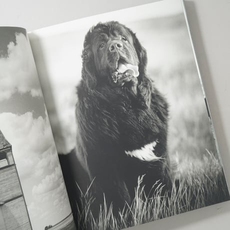 GENTLE GIANTS / Bruce Weber(ブルース・ウェーバー)