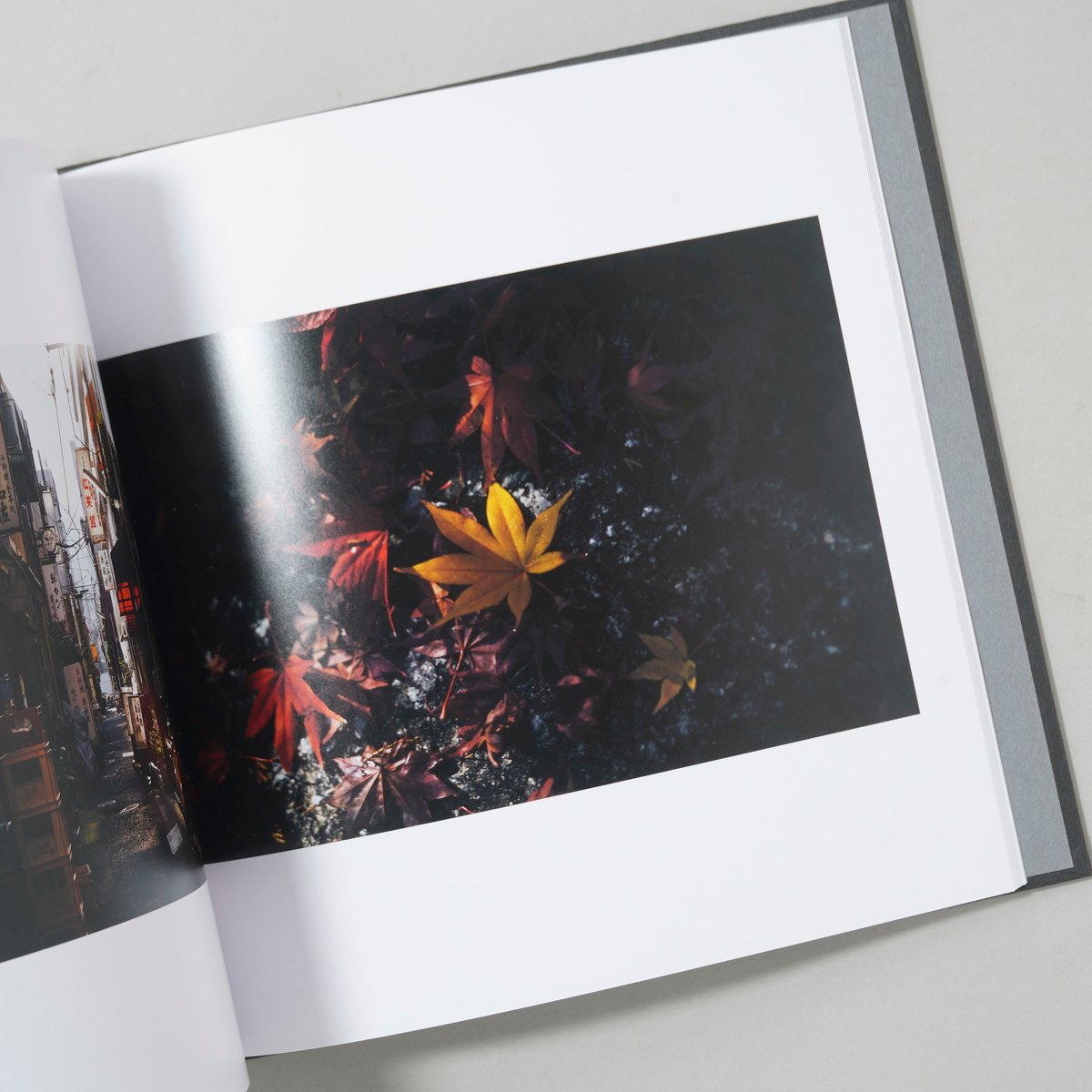 新品　PERSONAL WORK 　TAKASHI YASUI 保井崇志　写真集 TkashiYasui-0259.jpg?v=